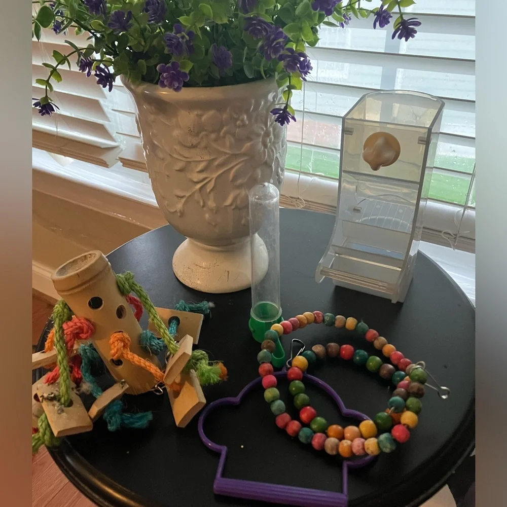 Bird toys